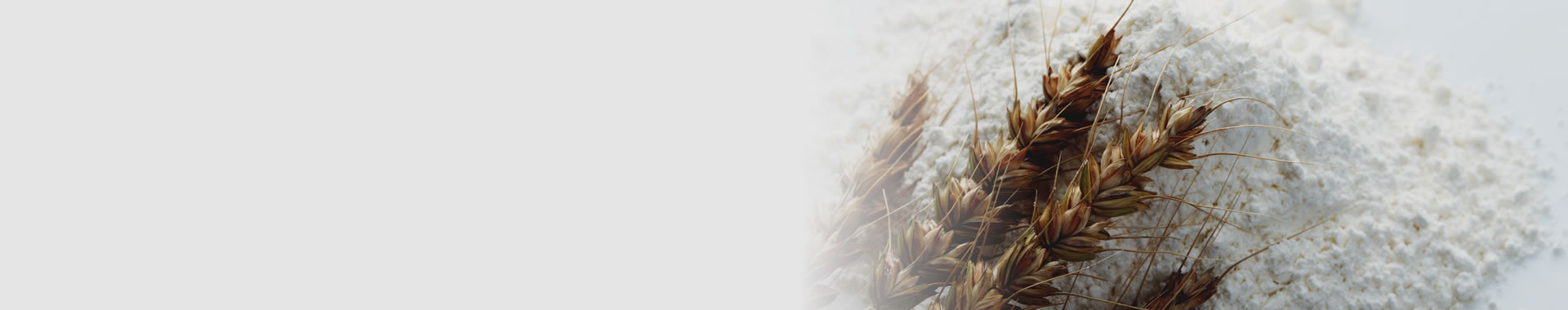 RMK認定冷凍めんのおいしさの秘密